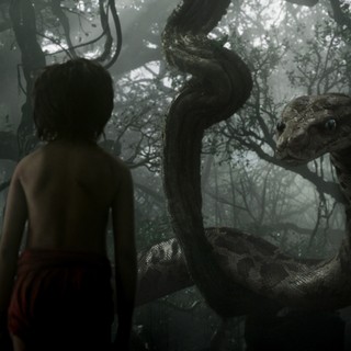 The Jungle Book